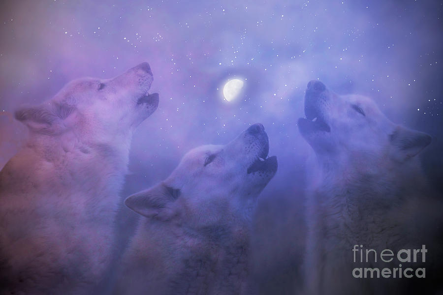 Wolf Wolves Howling at the Moon Surreal Southwestern Mystical Magical Photograph by Stephanie Laird