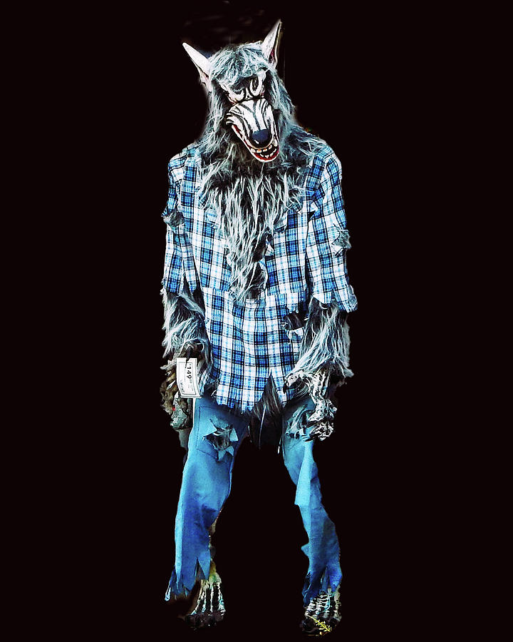 Wolfman in Blue Photograph by Andrew Lawrence