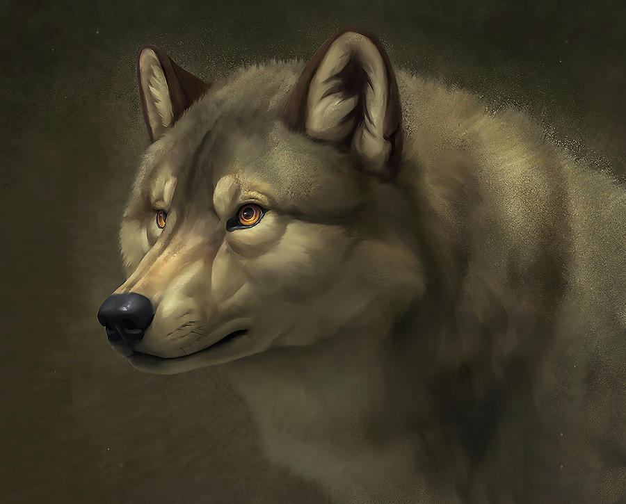 Wolfy wolf Digital Art by Lac Lac - Fine Art America