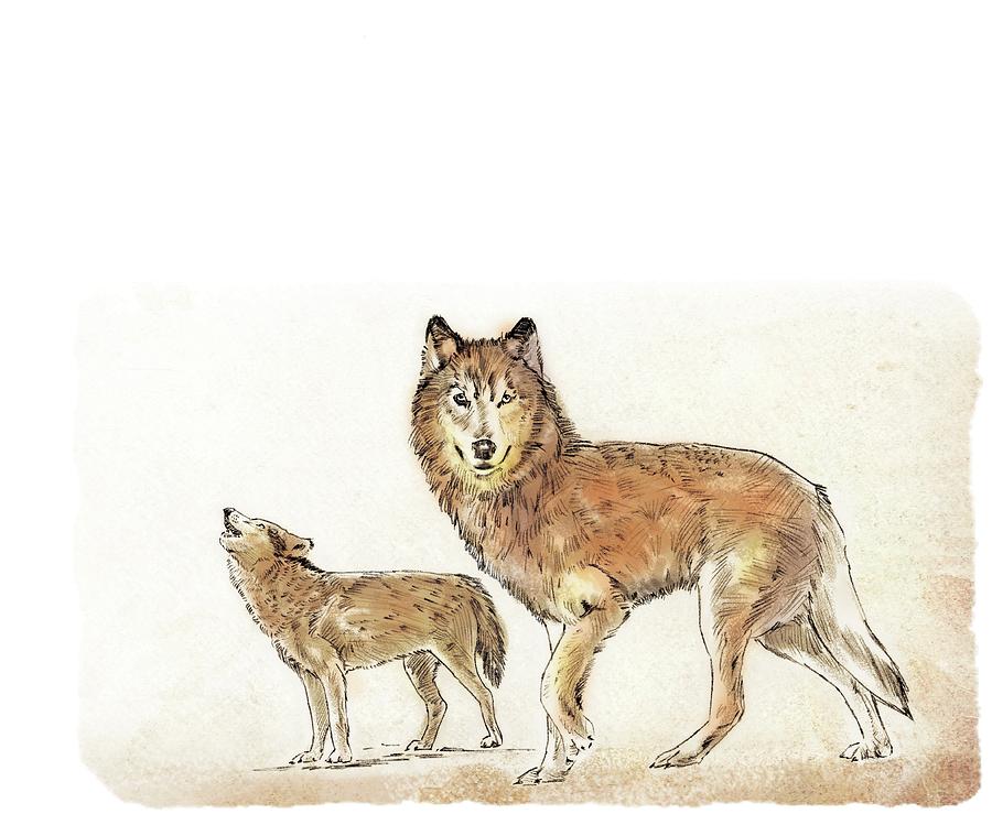 Wolves. Digital Art by Album