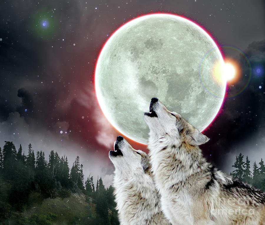 Drawings Of Wolves Howling At The Moon