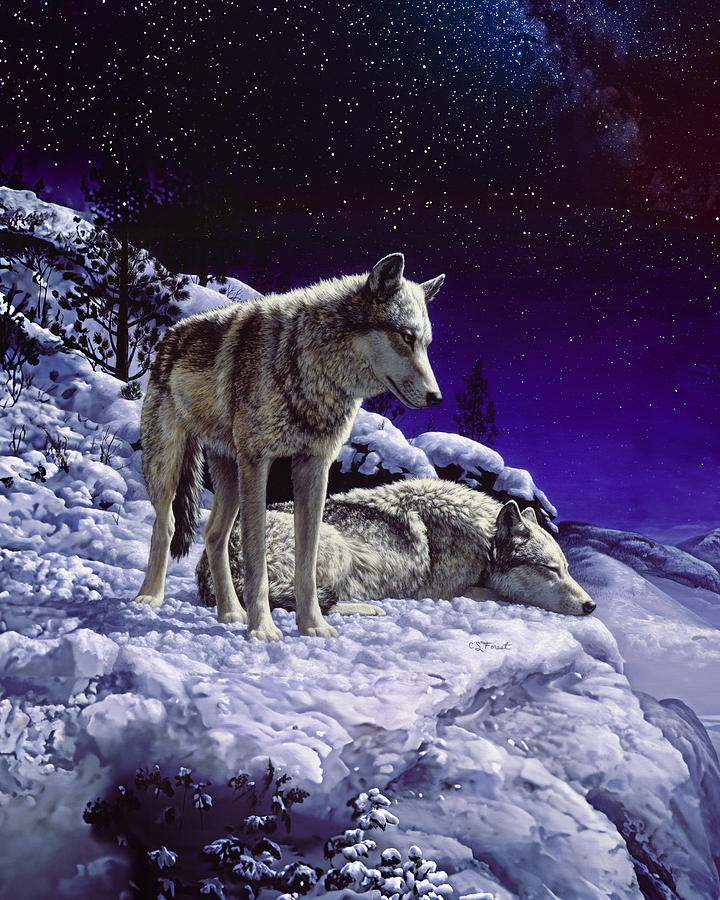 Wolves Painting - Wolves in Snow Covered Mountains Under a Starry Sky by Crista Forest