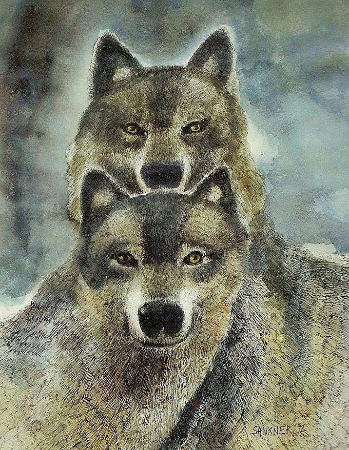 Wolves Painting by Robert Sankner