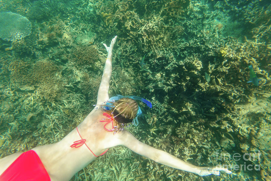 Woman bikini apnea Surin Islands Photograph by Benny Marty