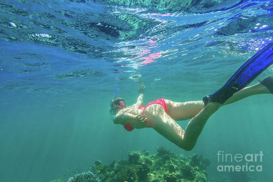 Woman bikini snorkeling Surin Islands Photograph by Benny Marty
