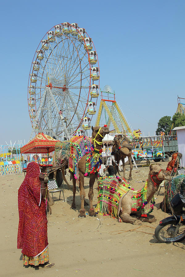 woman camels and ferris wheels at Pushkar camel fair Photograph by Mikhail Kokhanchikov