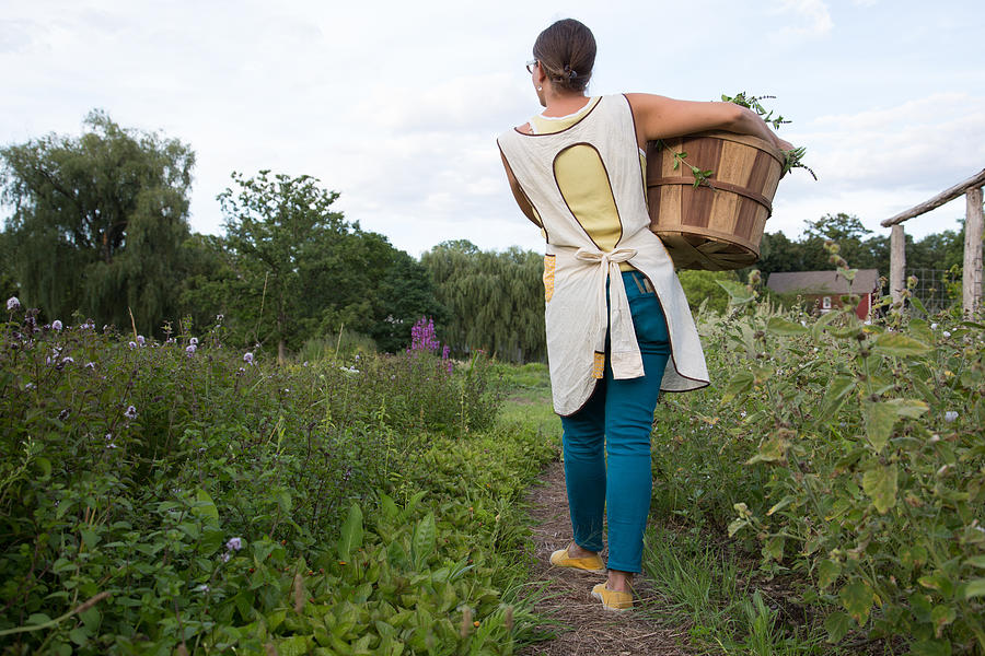 Woman carrying basket of plants on family herb farm Photograph by Davidgoldmanphoto