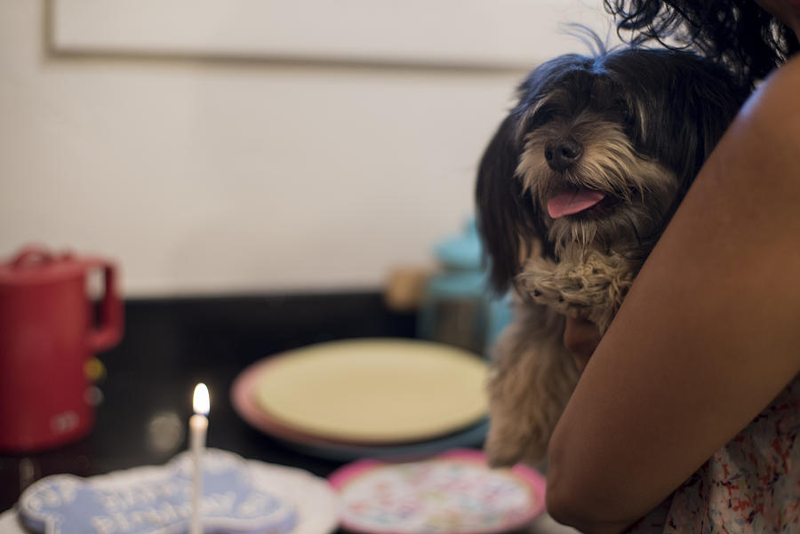 Woman celebrating dogs birthday Photograph by Scott Zdon