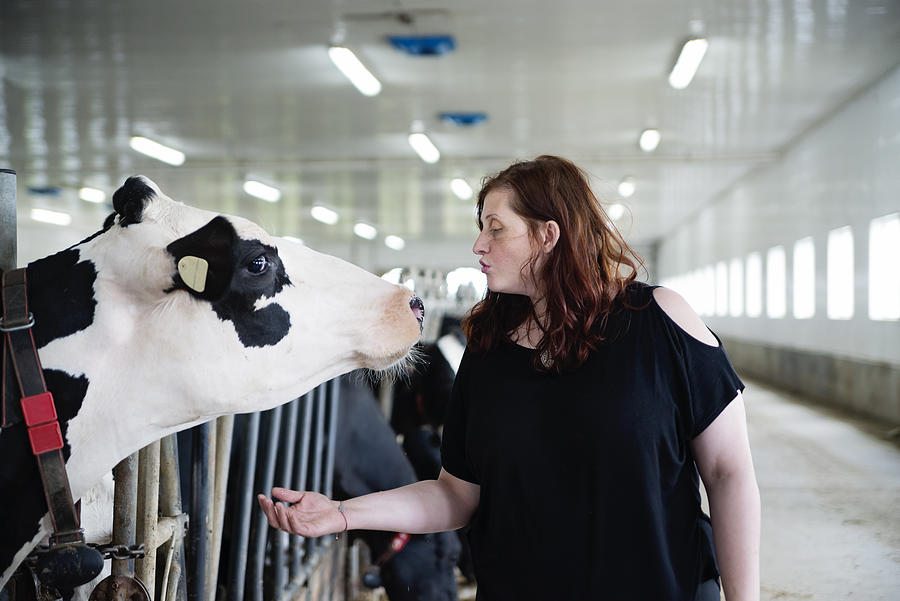 Woman connecting with cow in dairy farm. Photograph by Martinedoucet