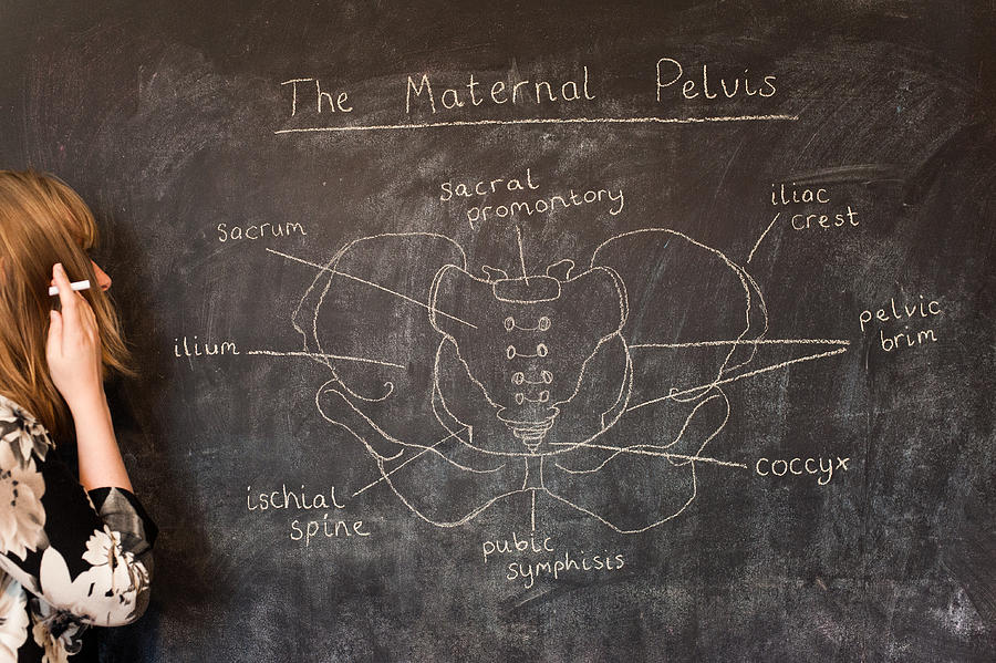 Woman drawing the maternal pelvis with chalk Photograph by Elizabeth Livermore