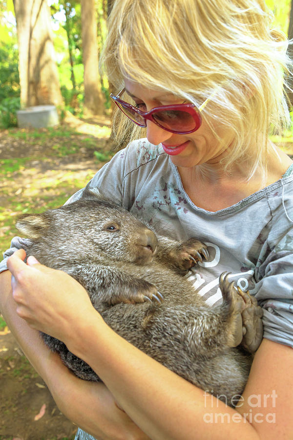 Woman embraces Wombat Photograph by Benny Marty
