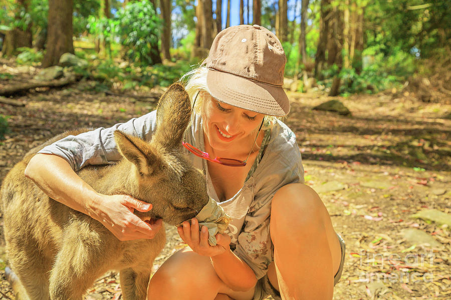 Woman feed kangaroo Photograph by Benny Marty