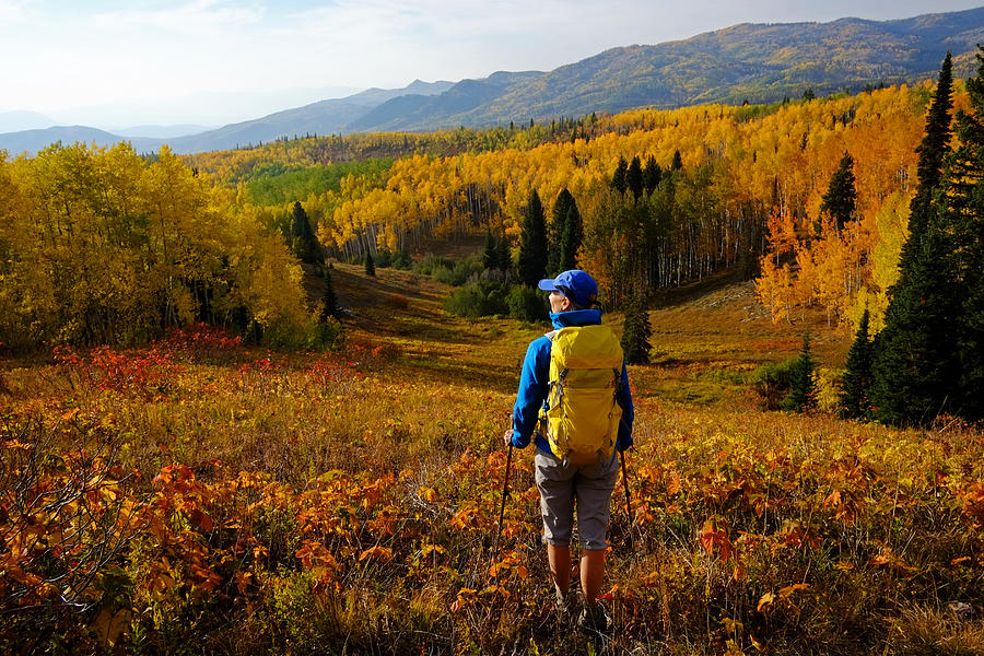 Woman hiking in fall season, Colorado Photograph by David Epperson