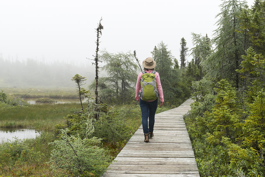 Woman hiking on footpath trough boreal forest Photograph by Pchoui