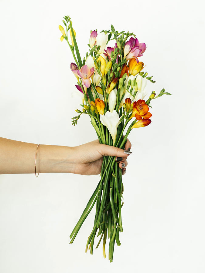 Woman holding bouquet Photograph by Jessica Peterson