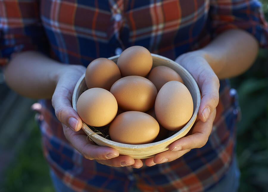 Woman holding bowl of free range eggs Photograph by Mike Harrington