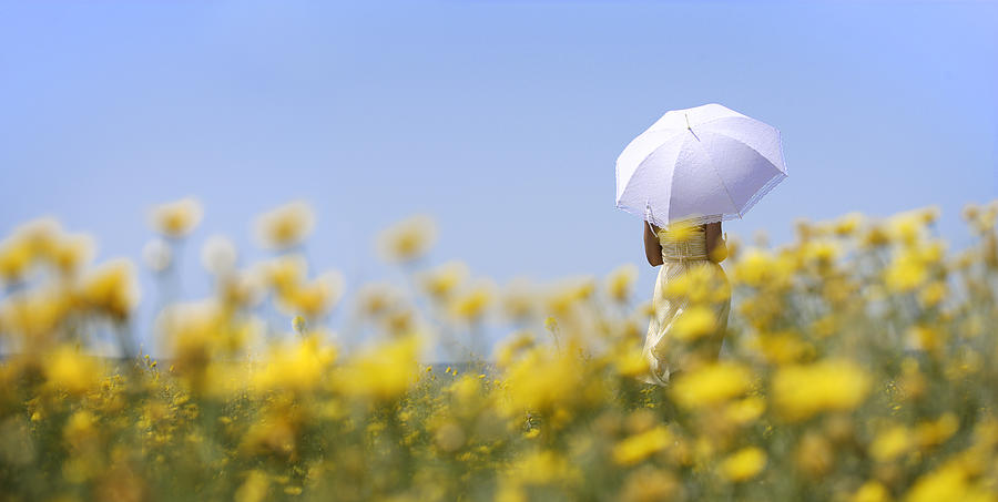 Woman holding umbrella in field of yellow flowers Photograph by Peter Cade