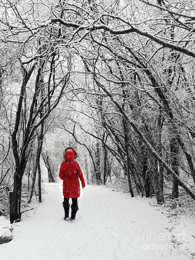 Winter Photograph - Woman in Red Walking In Snow by Barbara McMahon