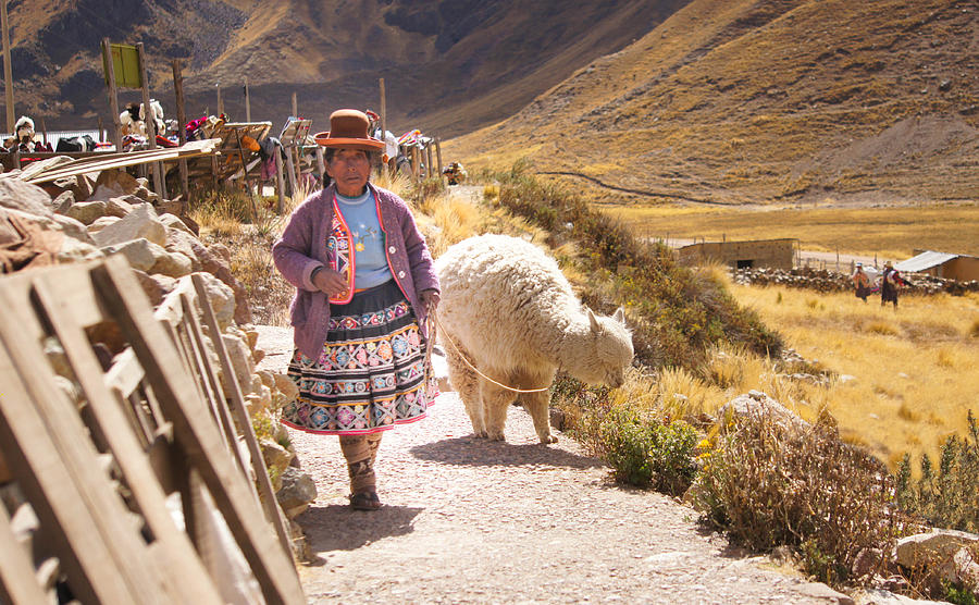 Hat Photograph - Woman In Traditional Costume With A Decorated Alpaca At Abra la Raya by La Moon Art