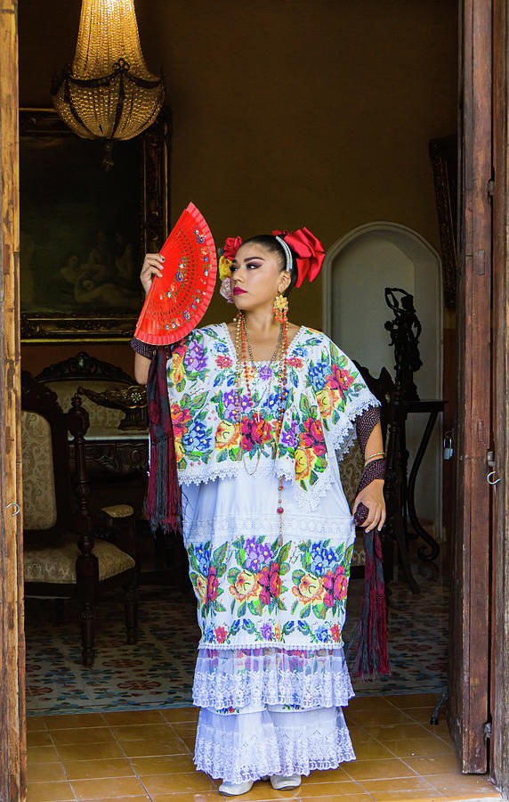 woman in traditional Mexican embroidered huipil tunic and dress Photograph by Ann Moore