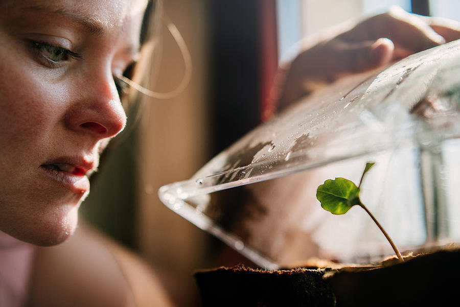 Woman looking at seedling. Photograph by Guido Mieth
