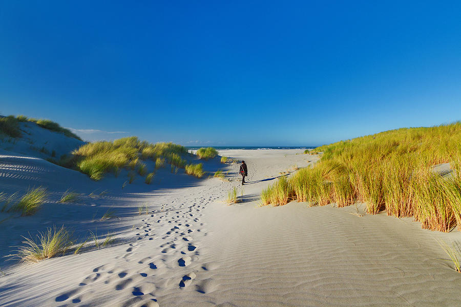 Woman on sandy beach at Farewell Spit, New Zealand Photograph by Anna Gorin