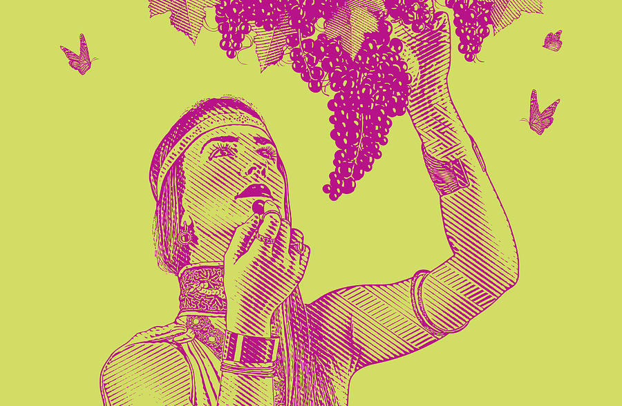 Woman picking wine grapes Drawing by GeorgePeters