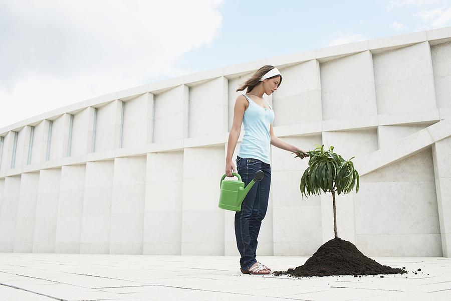 Woman Planting a Tree Photograph by Oliver Rossi