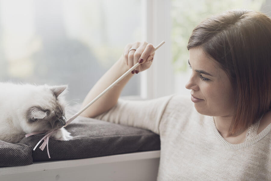 Woman playing with her cat Photograph by Cyano66