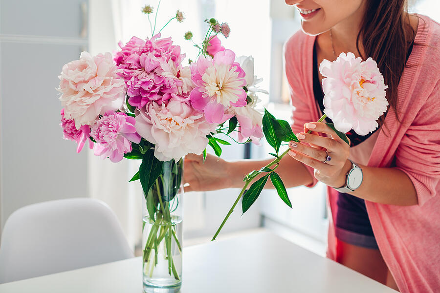 Woman puts peonies flowers in vase. Housewife taking care of coziness and decor on kitchen. Composing bouquet. Photograph by Maryviolet