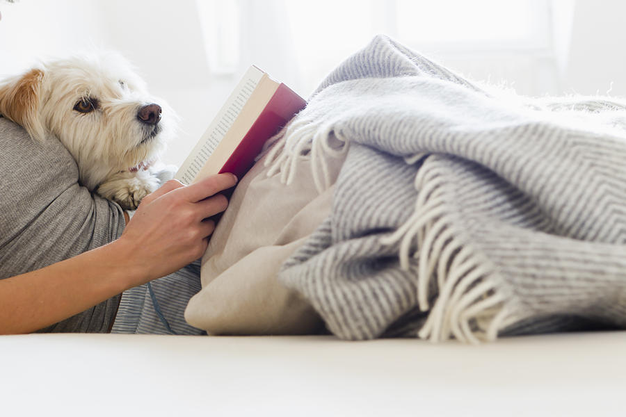 Woman reading in bed with dog Photograph by Emely