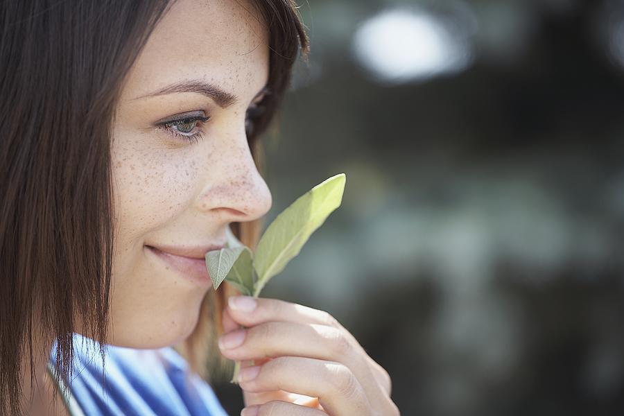 Woman smelling sage leaves Photograph by Tammy Hanratty