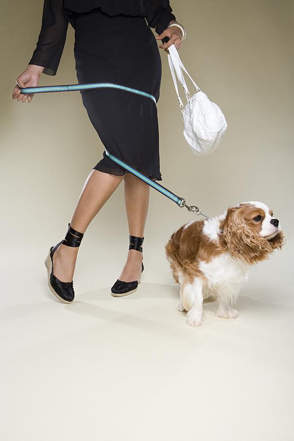 Woman tangled up in dog lead Photograph by Image Source