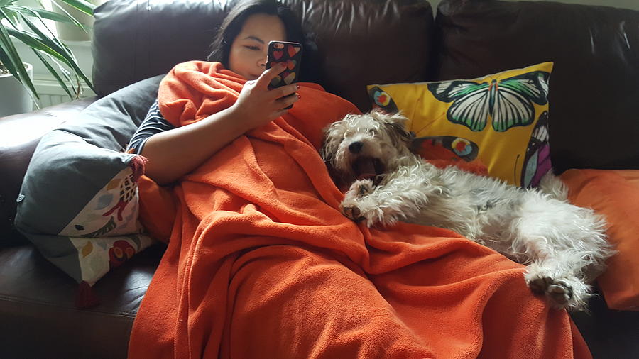Woman Using Mobile Phone While Relaxing By Dog On Sofa At Home Photograph by Duke Harrod / EyeEm Woman Using Mobile Phone While Relaxing By Dog On Sofa At Home Photograph by Duke Harrod / EyeEm