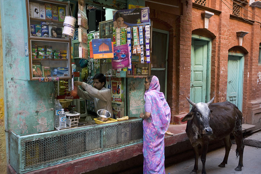 Woman walking cow outside street shop Photograph by Frans Lemmens