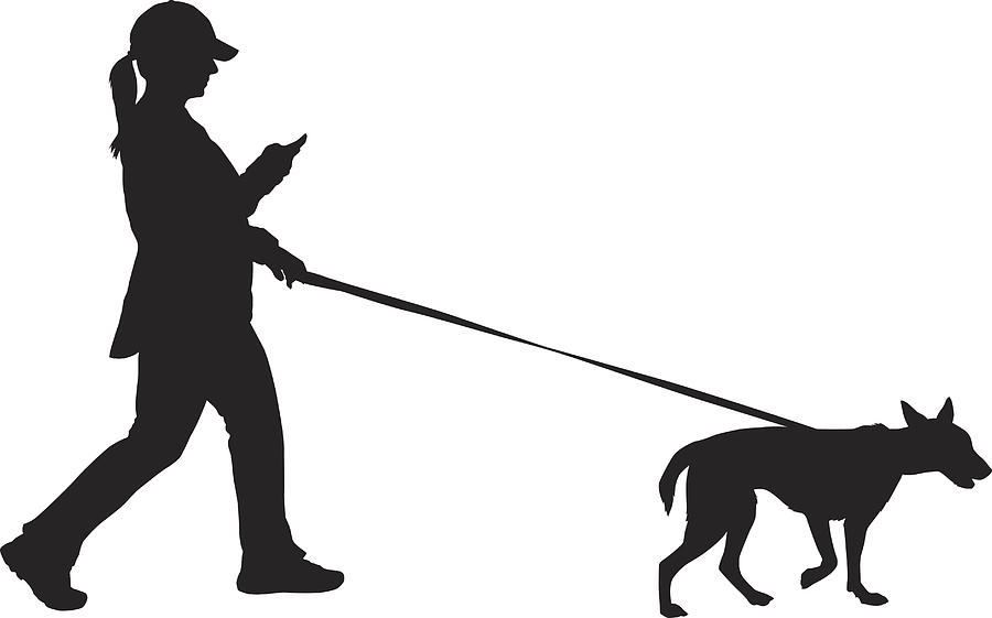 Woman Walking Her Dog Drawing by RobinOlimb