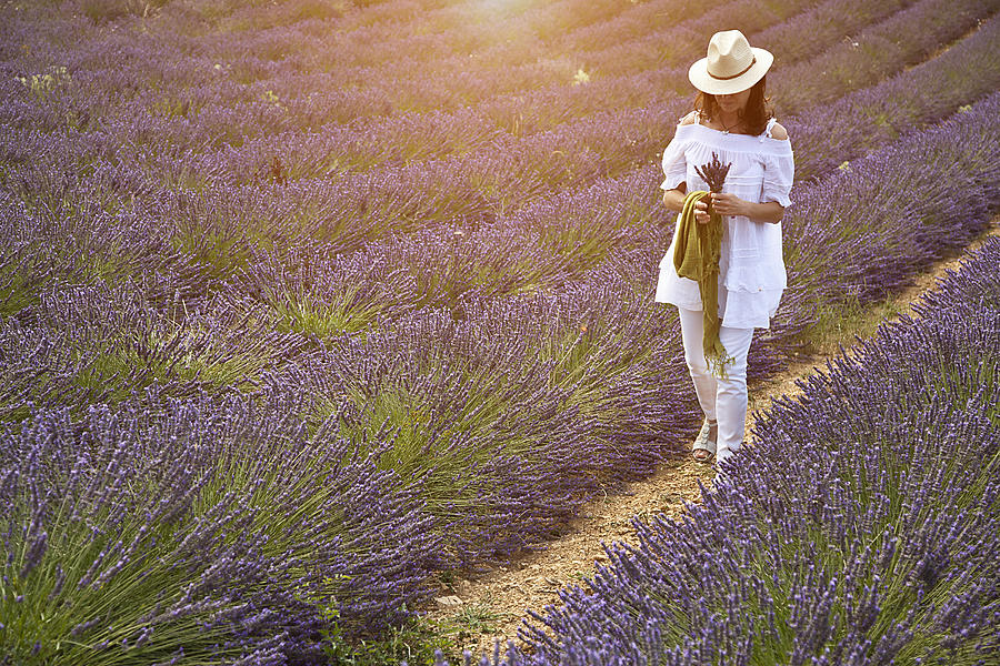 Woman walking in field of purple flowers Photograph by Cultura RM Exclusive/WALTER ZERLA
