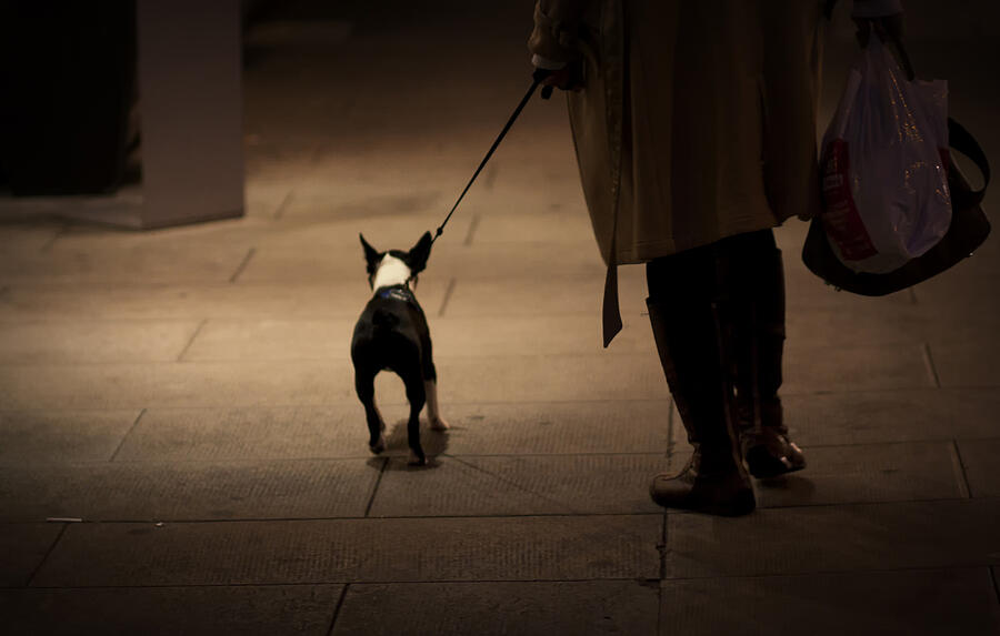 Woman walking with her dog Photograph by Alex teuscher