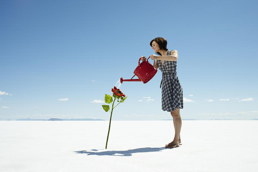 Woman Watering Lone Flower Growing in Desert. Photograph by Andy Ryan