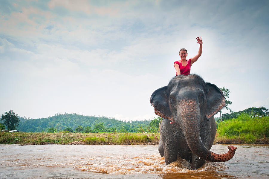 Woman waves while sitting on elephant bathing in river  in Pai, Northern Thailand, Thailand. Photograph by Max Paddler