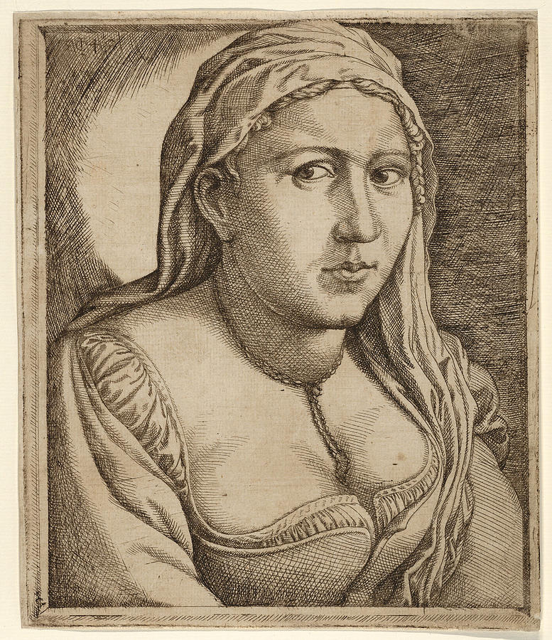 Woman with a Veil Drawing by Jan Cornelisz Vermeyen