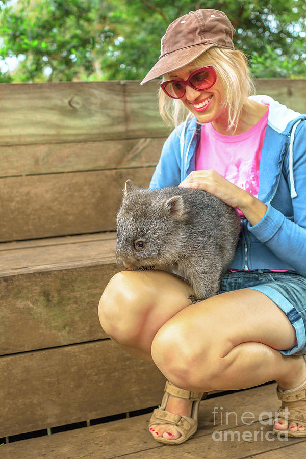 Woman with australian Wombat Photograph by Benny Marty
