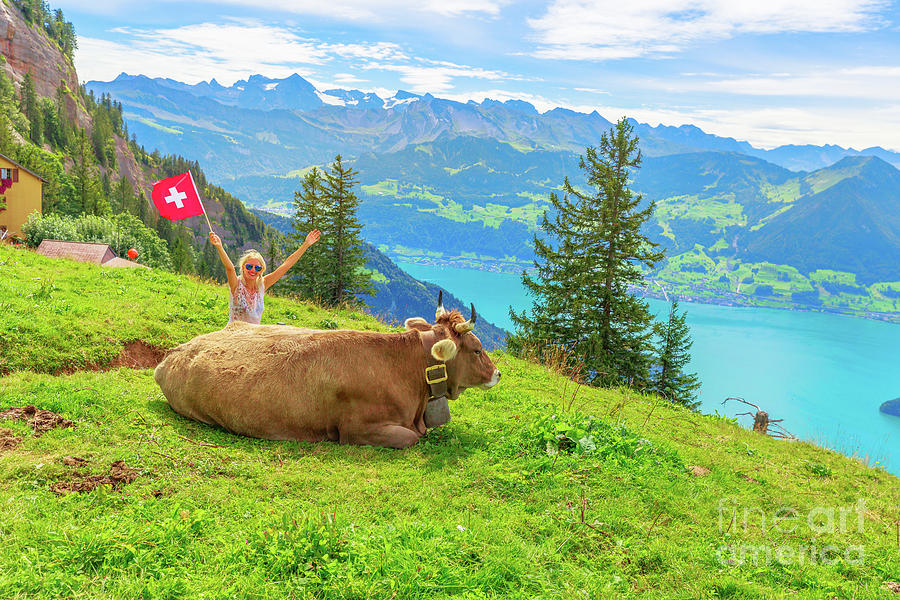 Woman with cow Switzerland Photograph by Benny Marty