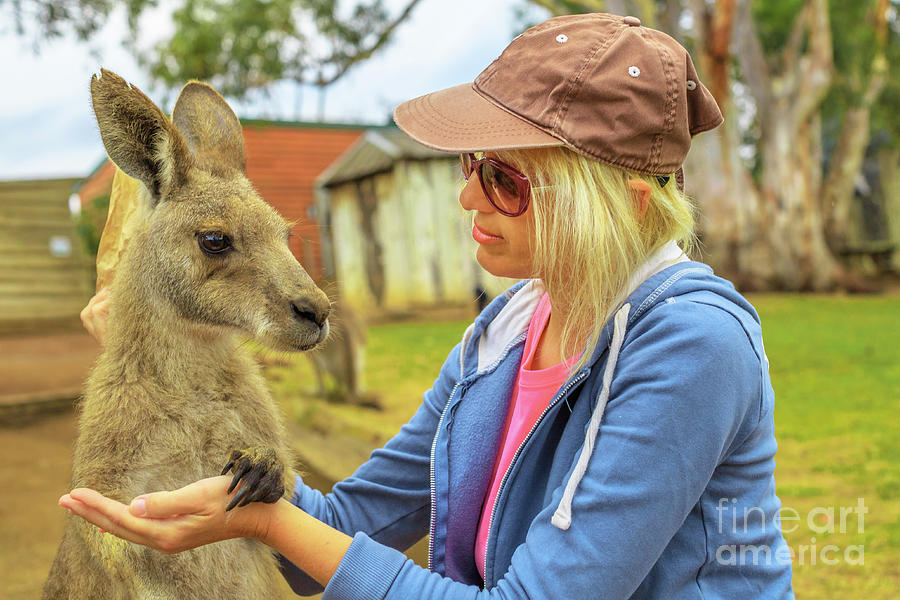 Woman with kangaroo Photograph by Benny Marty