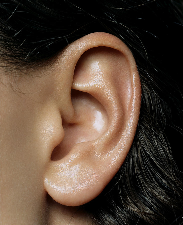 Womans ear, close-up Photograph by Andreas Kuehn