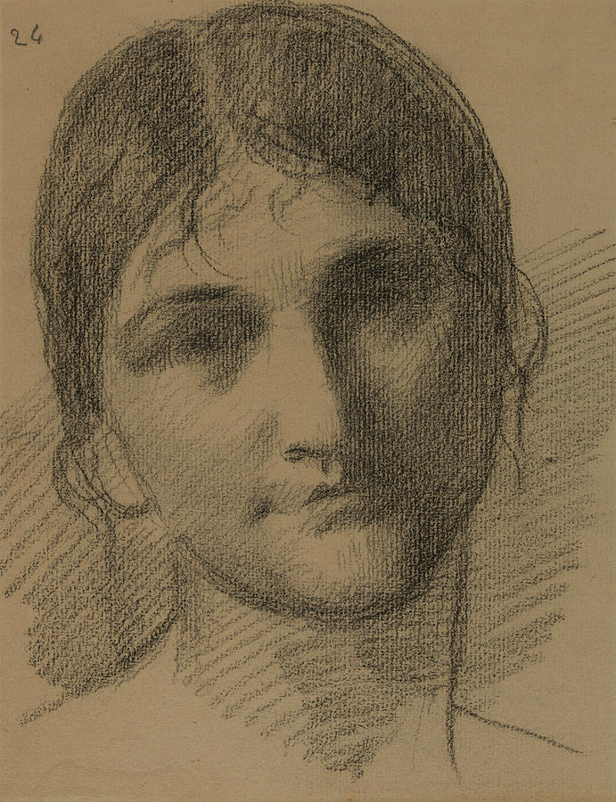 Womans Head  Drawing by Pierre Puvis de Chavannes