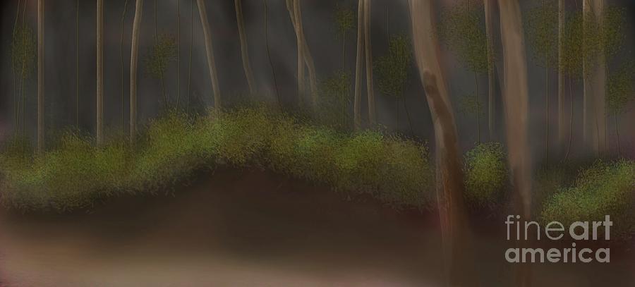 Wombat Trail       By Julie Grimshaw 2021 Digital Art