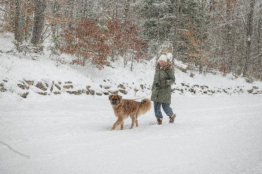 Womean walking dog in the snow Photograph by Dan Friend Womean walking dog in the snow Photograph by Dan Friend