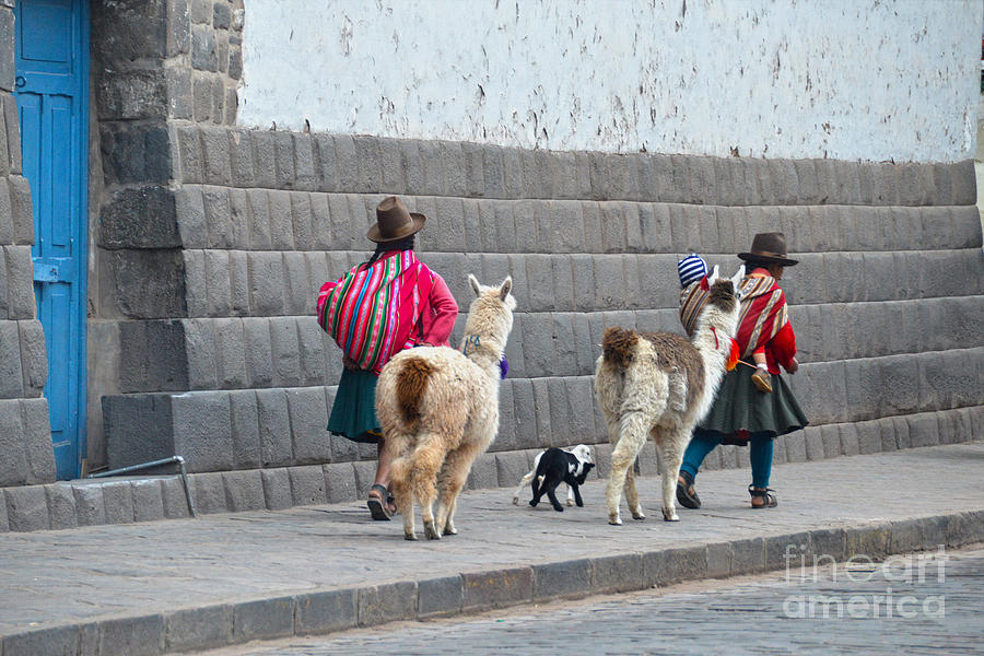 Women And Alpacas In Cusco Photograph