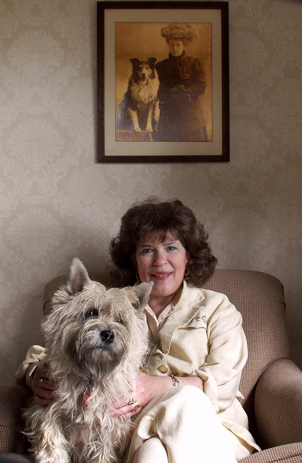Women and Their Dogs Photograph by Rein Nomm